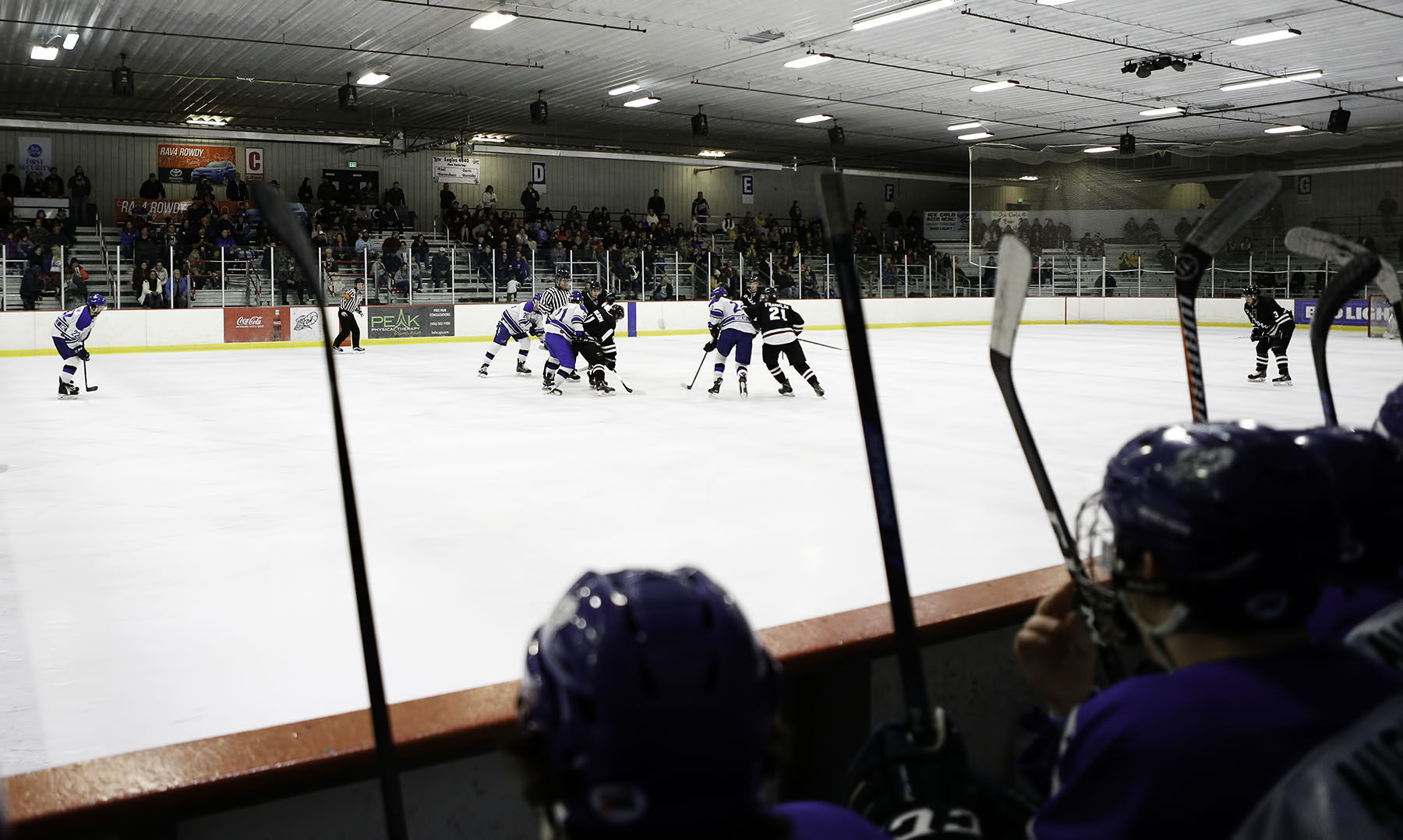 Helena Bighorns